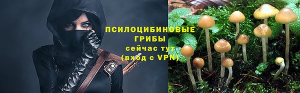 spice Алексин