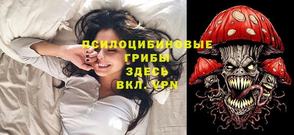 spice Алексин