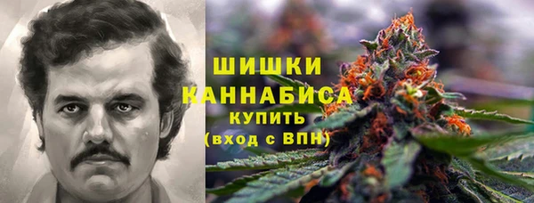 spice Алексин