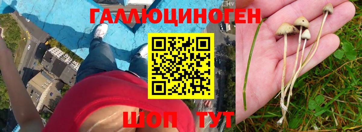 даркнет сайт  Галлюциногенные грибы ЛСД  Вход с VPN  Сибай  Псилоцибиновые грибы Cubensis 